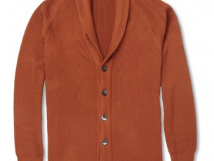 Cardigan1