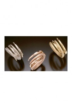 David Heston Interlocking Rings